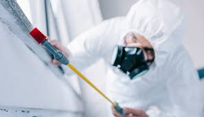 Pest Control for Hotels in Westland, MI